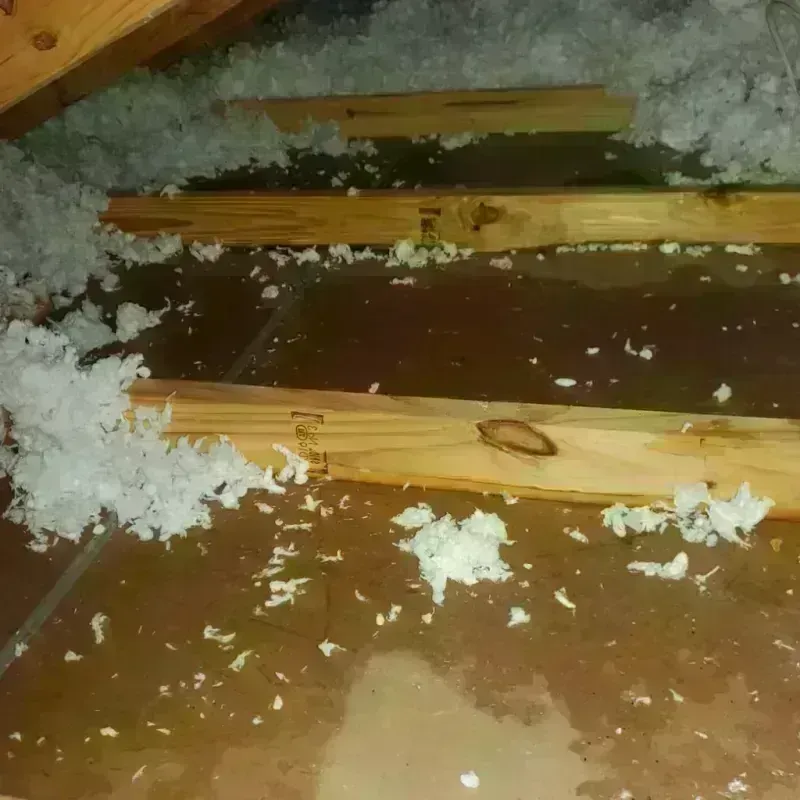 Attic Water Damage in Marienville, PA